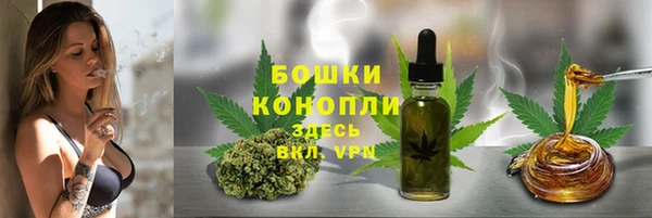 мяу мяу мука Белокуриха